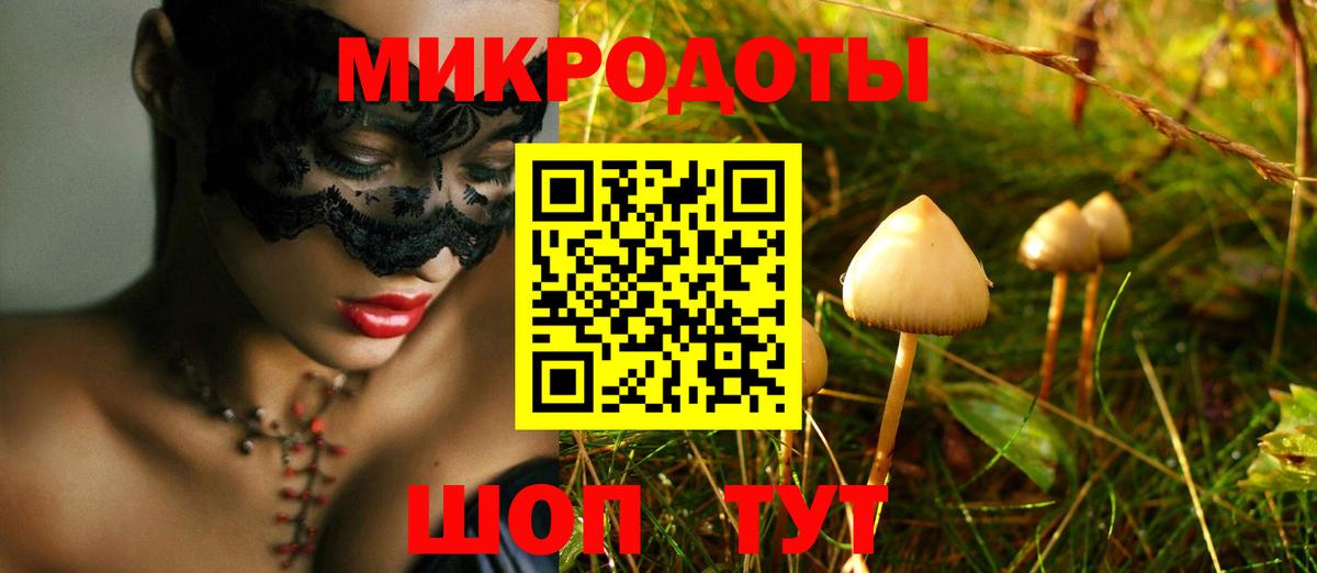 Торжок  Псилоцибиновые грибы мухоморы  что такое   Вход с VPN 